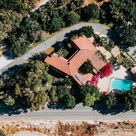 Vasilias Nikoklis Inn Nikoklia Exteriör bild