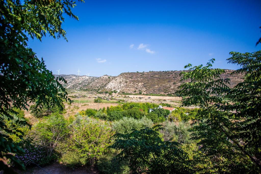 Vasilias Nikoklis Inn Nikoklia Exteriör bild